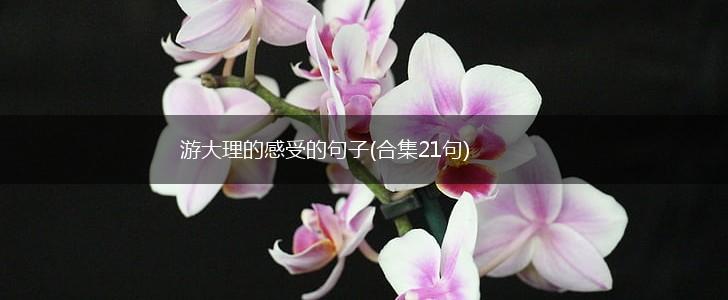 游大理的感受的句子(合集21句),第1张