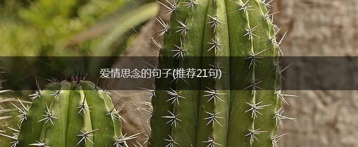 爱情思念的句子(推荐21句),第1张