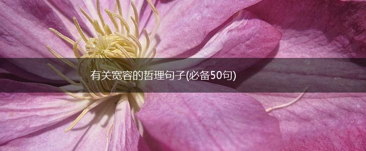 有关宽容的哲理句子(必备50句),第1张