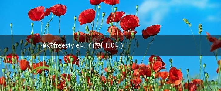 撩妹freestyle句子(热门50句),第1张