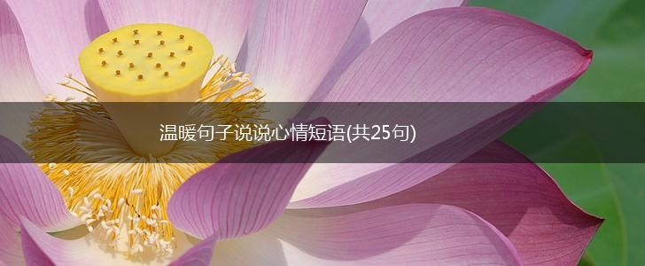 温暖句子说说心情短语(共25句),第1张