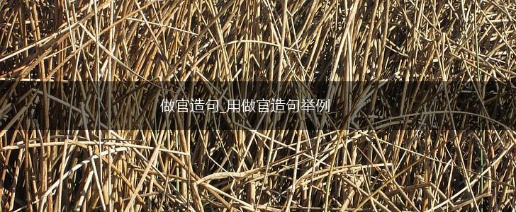 做官造句_用做官造句举例,第1张 做官造句_用做官造句举例,第1张