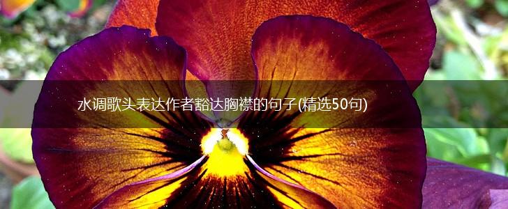 水调歌头表达作者豁达胸襟的句子(精选50句),第1张