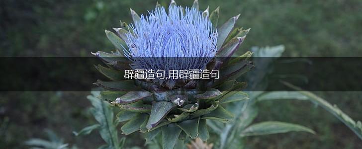 辟疆造句,用辟疆造句,第1张 辟疆造句,用辟疆造句,第1张