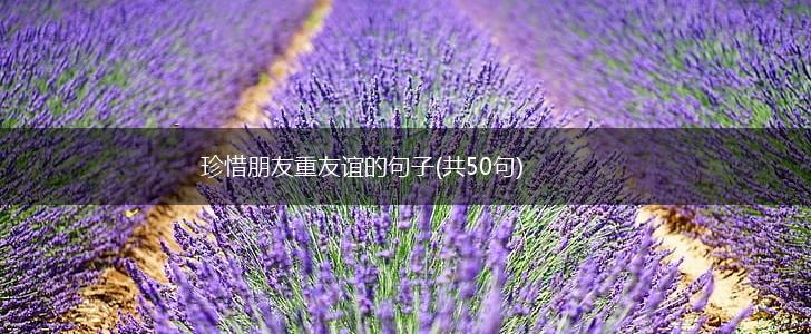 珍惜朋友重友谊的句子(共50句),第1张
