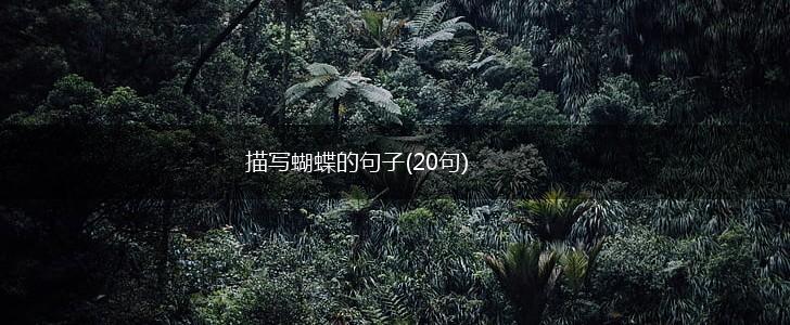 描写蝴蝶的句子(20句),第1张