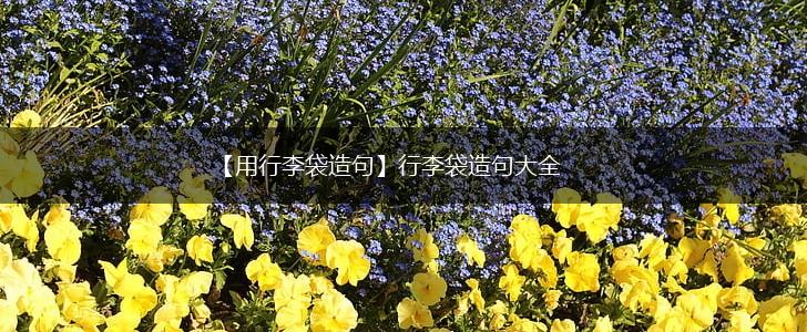 【用行李袋造句】行李袋造句大全,第1张