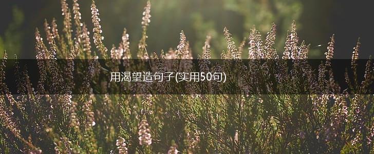 用渴望造句子(实用50句),第1张
