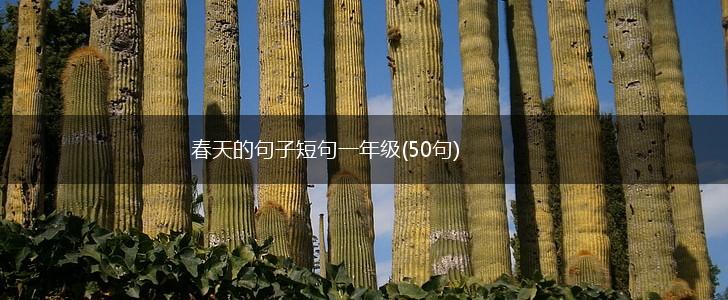 春天的句子短句一年级(50句),第1张