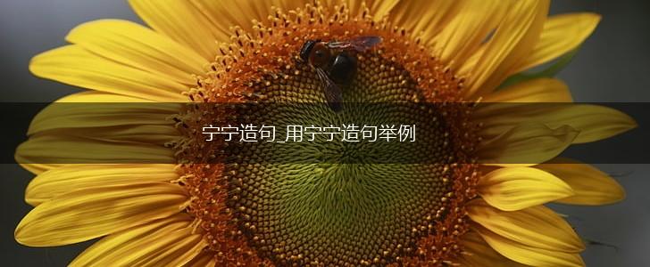 宁宁造句_用宁宁造句举例,第1张 宁宁造句_用宁宁造句举例,第1张
