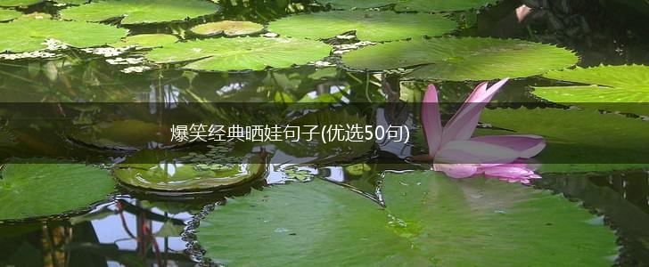 爆笑经典晒娃句子(优选50句),第1张