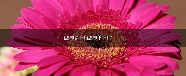 微显造句 微显的句子,第1张