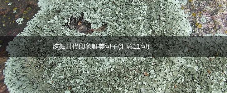炫舞时代印象唯美句子(汇总11句),第1张