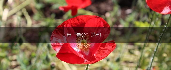 用“量分”造句,第1张