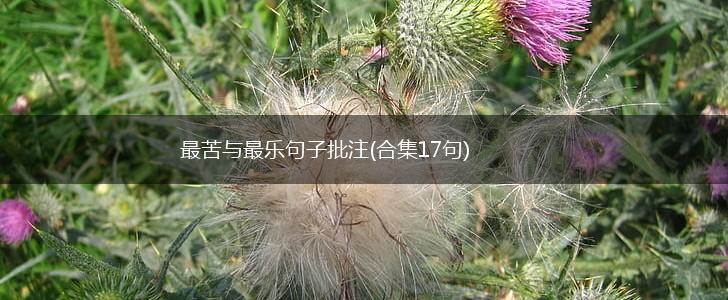 最苦与最乐句子批注(合集17句),第1张