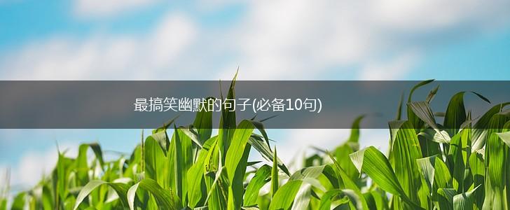 最搞笑幽默的句子(必备10句),第1张