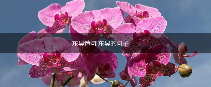 东吴造句 东吴的句子,第1张 东吴造句 东吴的句子,第1张
