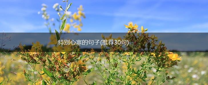 特别心寒的句子(推荐30句),第1张