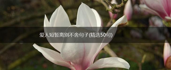爱人短暂离别不舍句子(精选50句),第1张