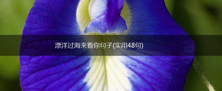 漂洋过海来看你句子(实用48句),第1张