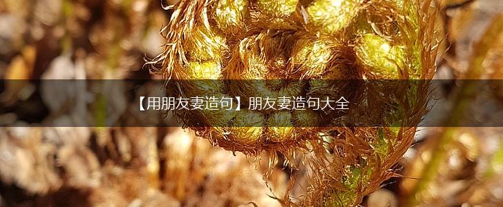 【用朋友妻造句】朋友妻造句大全,第1张 【用朋友妻造句】朋友妻造句大全,第1张