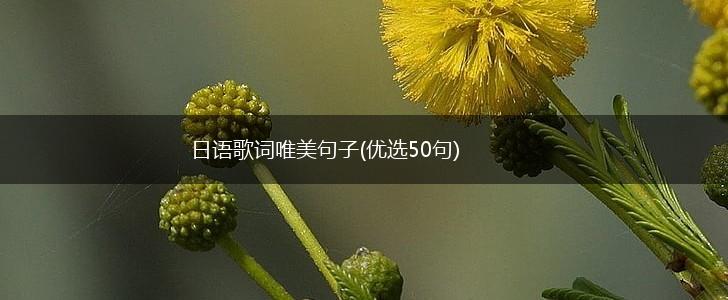 日语歌词唯美句子(优选50句),第1张