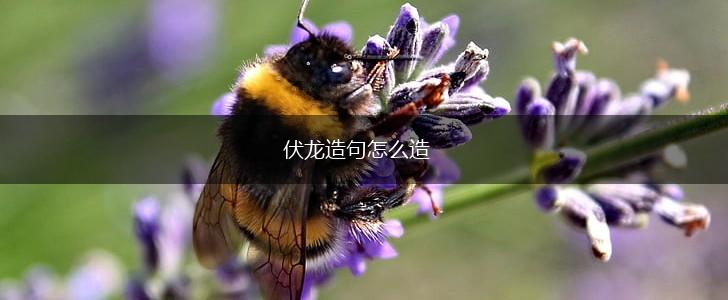 伏龙造句怎么造,第1张 伏龙造句怎么造,第1张