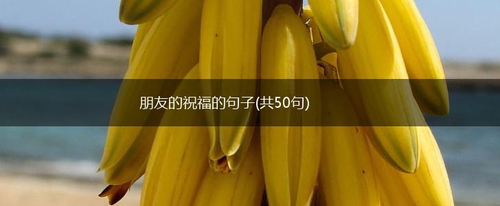 朋友的祝福的句子(共50句),第1张