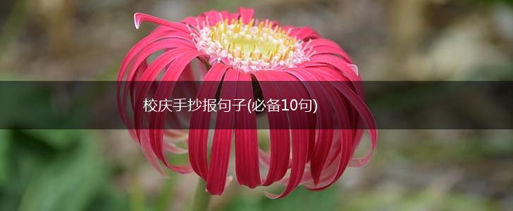 校庆手抄报句子(必备10句),第1张