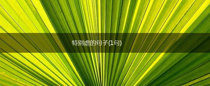特别虐的句子(1句),第1张