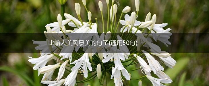 比喻人美风景美的句子(通用50句),第1张