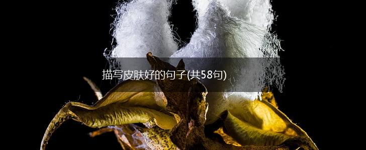 描写皮肤好的句子(共58句),第1张