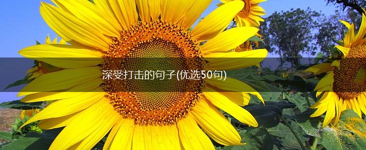深受打击的句子(优选50句),第1张