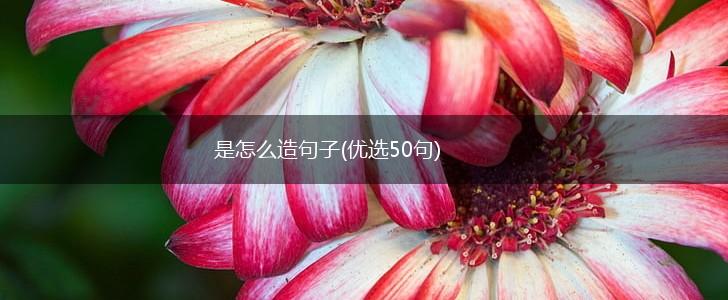 是怎么造句子(优选50句),第1张