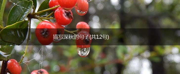 描写深秋的句子(共12句),第1张