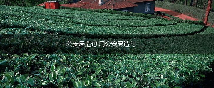 公安局造句,用公安局造句,第1张 公安局造句,用公安局造句,第1张