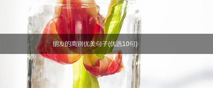 朋友的离别优美句子(优选10句),第1张