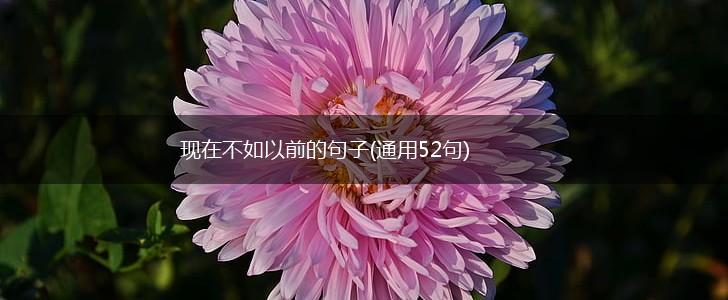 现在不如以前的句子(通用52句),第1张