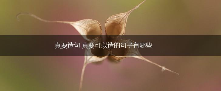 真要造句 真要可以造的句子有哪些,第1张 真要造句 真要可以造的句子有哪些,第1张