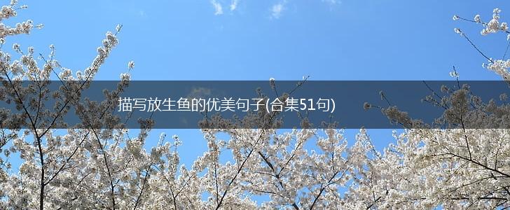 描写放生鱼的优美句子(合集51句),第1张