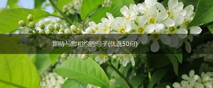期待与您相约的句子(优选50句),第1张