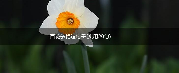 百花争艳造句子(实用20句),第1张