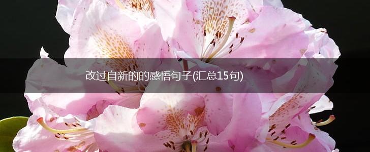 改过自新的的感悟句子(汇总15句),第1张