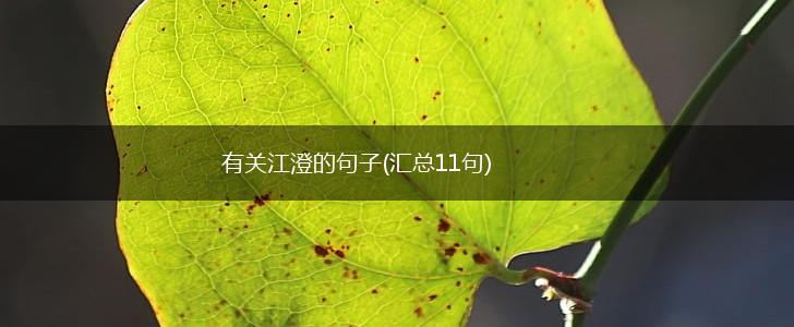 有关江澄的句子(汇总11句),第1张