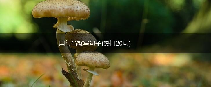 用每当就写句子(热门20句),第1张