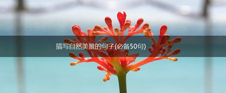 描写自然美景的句子(必备50句),第1张