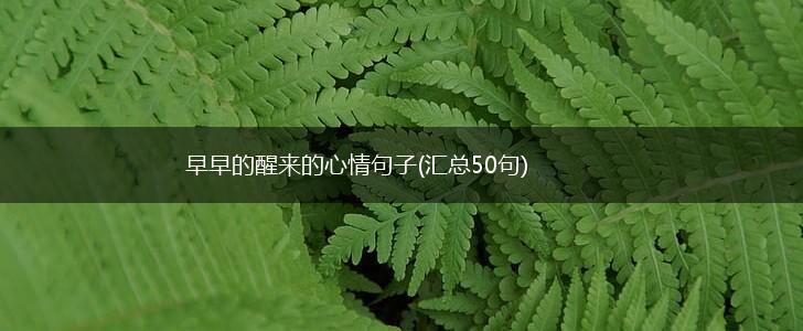 早早的醒来的心情句子(汇总50句),第1张