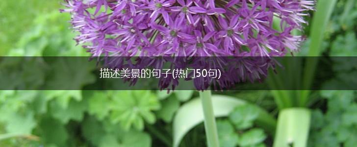 描述美景的句子(热门50句),第1张