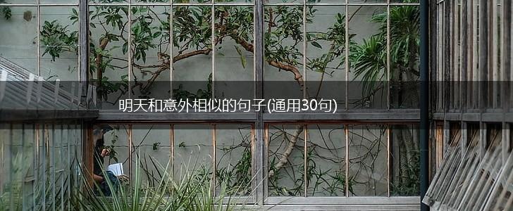 明天和意外相似的句子(通用30句),第1张