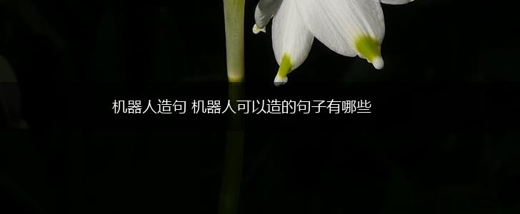 机器人造句 机器人可以造的句子有哪些,第1张